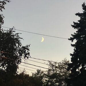 Meet your Posher, Tianna